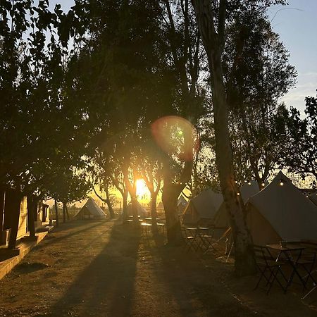 אמפוסטה Camping Delta Natura La Tancada מראה חיצוני תמונה
