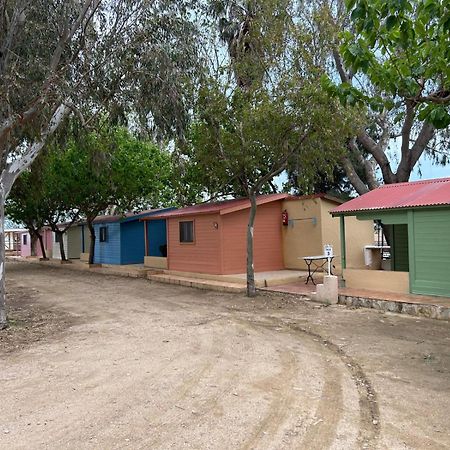 אמפוסטה Camping Delta Natura La Tancada מראה חיצוני תמונה