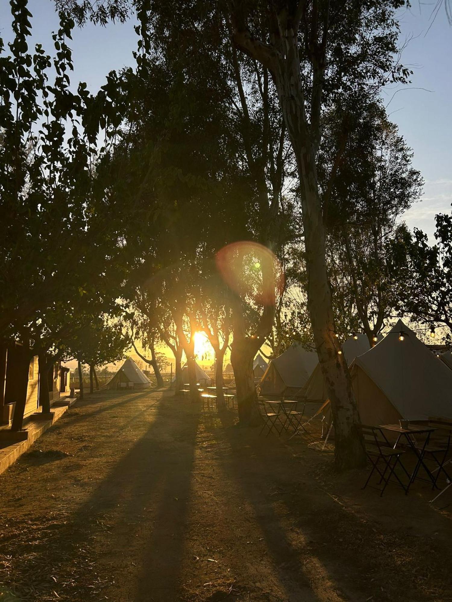 אמפוסטה Camping Delta Natura La Tancada מראה חיצוני תמונה