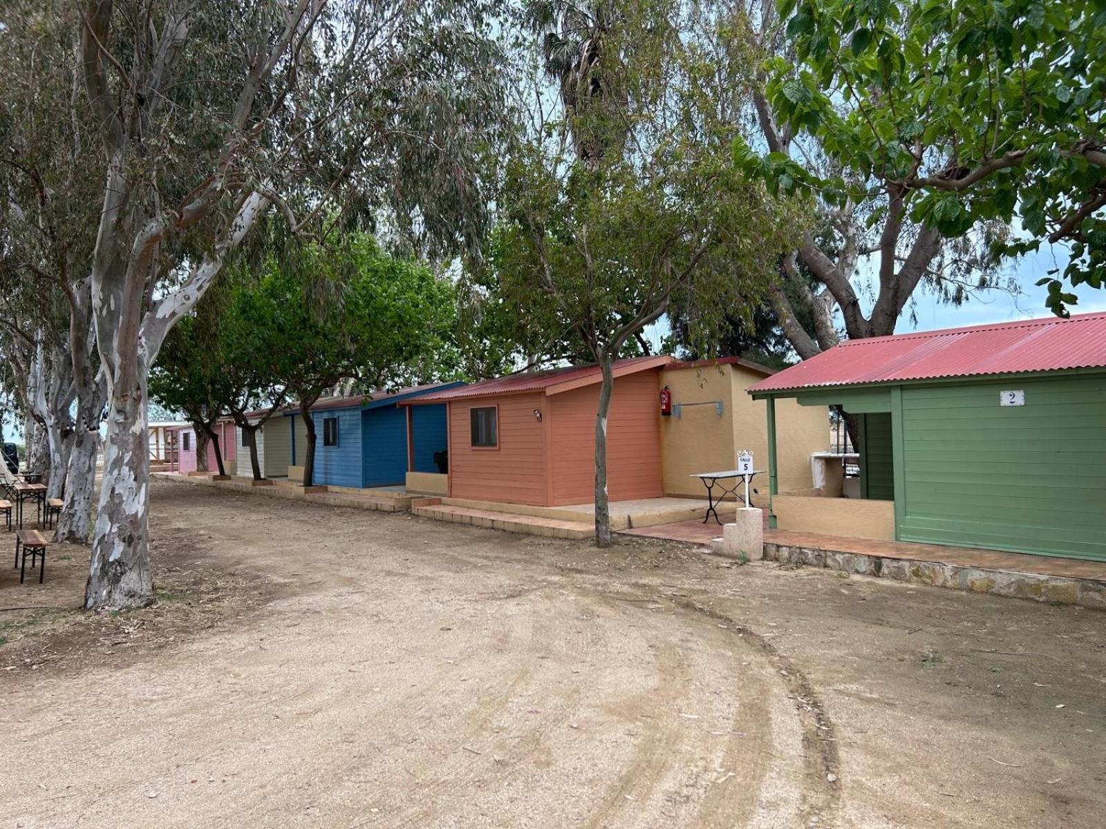 אמפוסטה Camping Delta Natura La Tancada מראה חיצוני תמונה